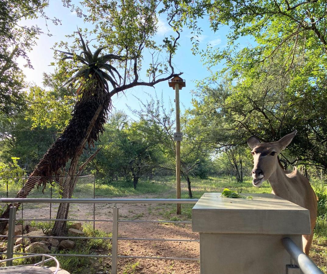Kruger'S Keep - Luxury Couples Haven Βίλα Marloth Park Εξωτερικό φωτογραφία
